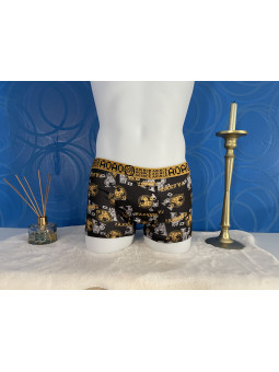 🐯 Boxer AOINCE – Wild &...