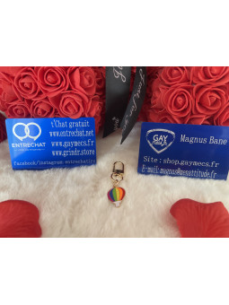 🌈 Nouveauté Accessoire...