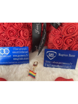 🌈 Nouveauté Accessoire...