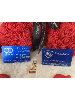 🌈 Nouveauté Accessoire...