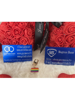 🌈 Nouveauté Accessoire...