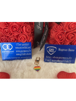 🌈 Nouveauté Accessoire...