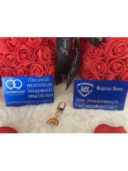 🌈 Nouveauté Accessoire...