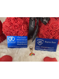 🌈 Nouveauté Accessoire...