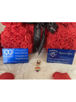 🌈 Nouveauté Accessoire...